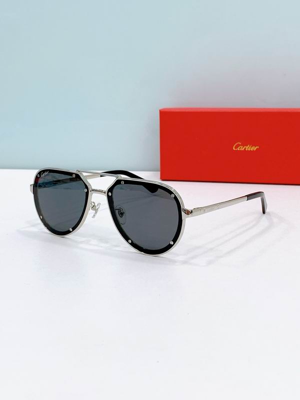 Cartier CT0195S 60-17-145 F06