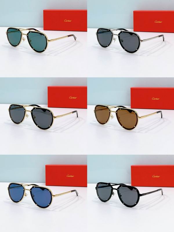 Cartier CT0195S 60-17-145 F08