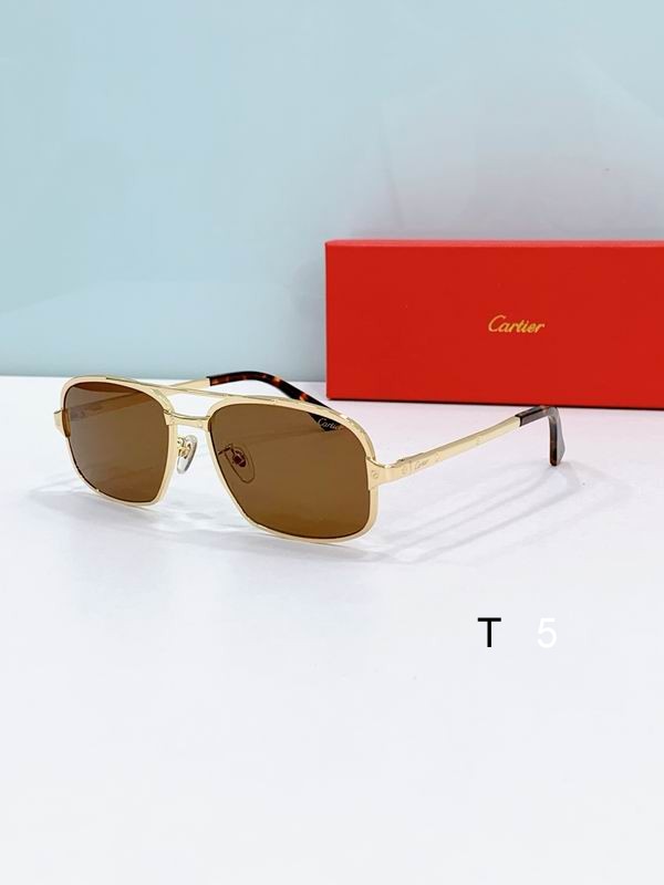 Cartier CT0295S 58-17-140 F06