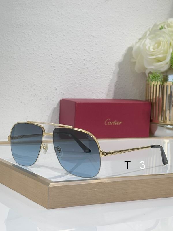 Cartier CT0353 64 15-145 c04