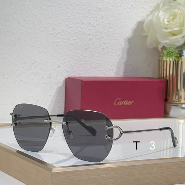 Cartier CT0394S 58 17-145 c02