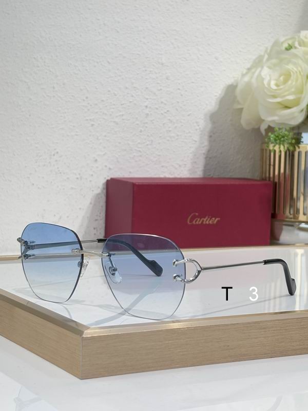 Cartier CT0394S 58 17-145 c05