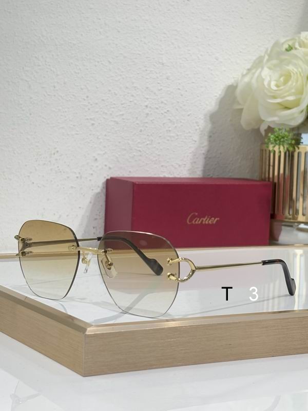 Cartier CT0394S 58 17-145 c07