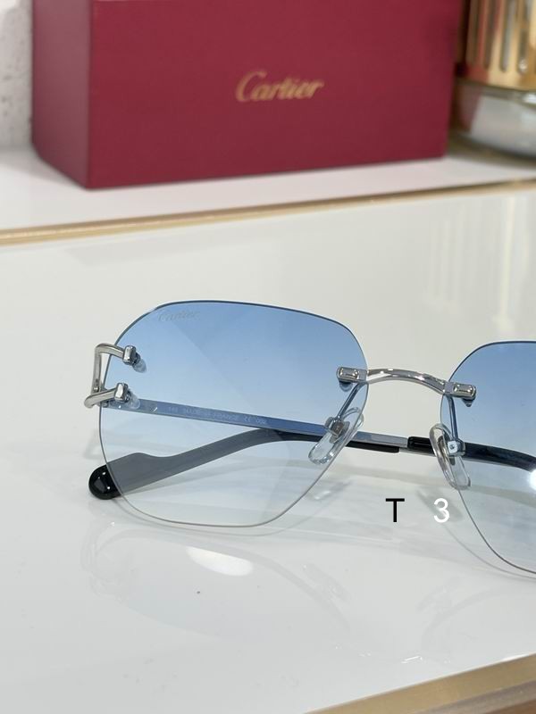 Cartier CT0394S 58 17-145 c08