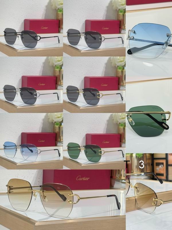 Cartier CT0394S 58 17-145 c10