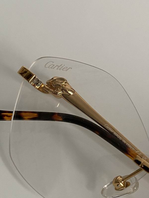 Cartier CT0429S 61 15-140 d07