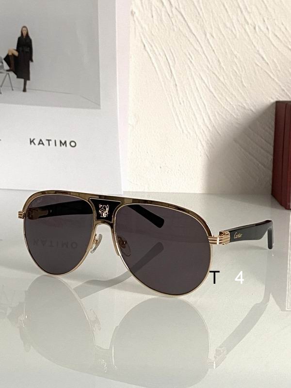 Cartier CT0436S 60 14-145 d03