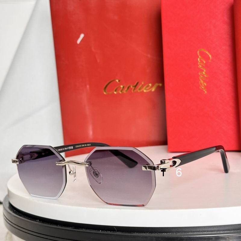 Cartier CT0439S e01