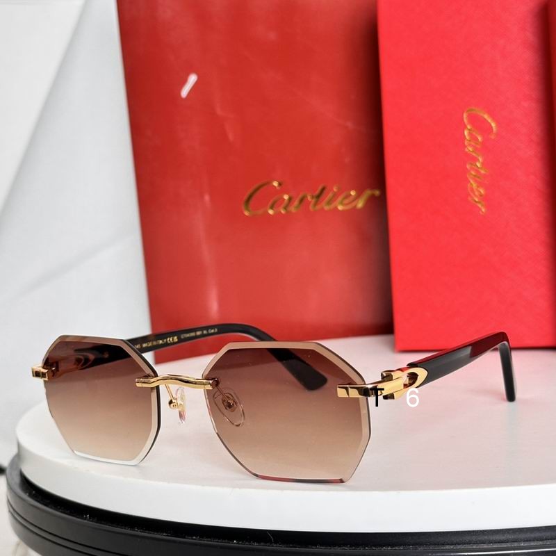 Cartier CT0439S e10