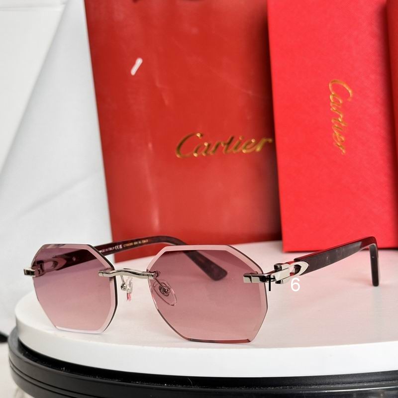 Cartier CT0439S e11