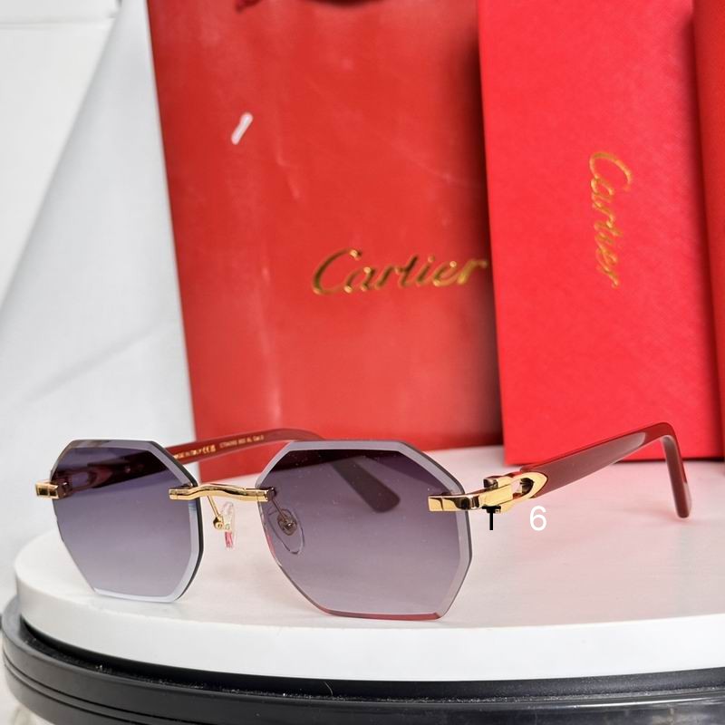 Cartier CT0439S e12