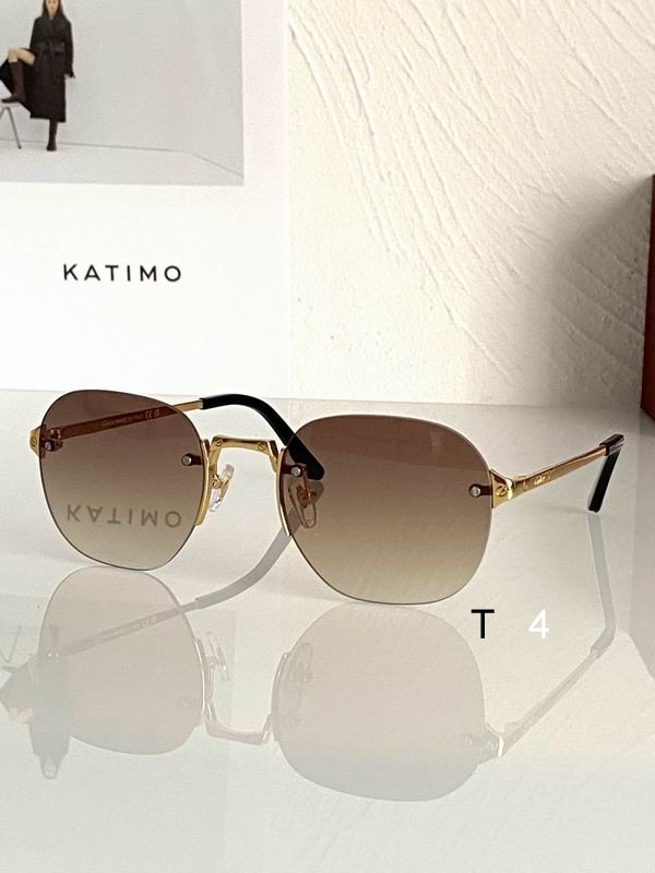 Cartier CT0459S 53 21-145 d04