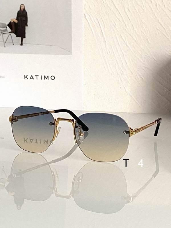 Cartier CT0459S 53 21-145 d05