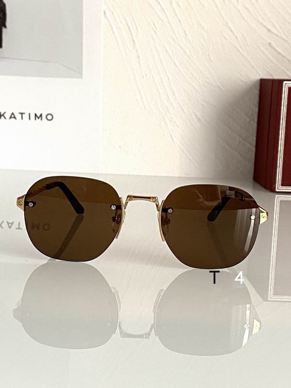 Cartier CT0459S 53 21-145 d07