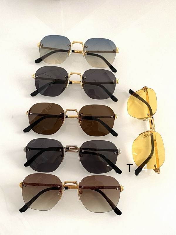 Cartier CT0459S 53 21-145 d10