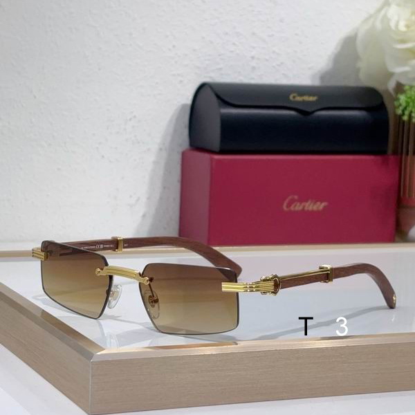 Cartier CT0485O 55 18-145 c02