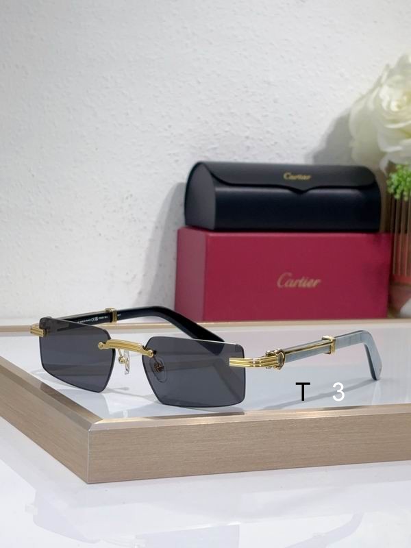 Cartier CT0485O 55 18-145 c03
