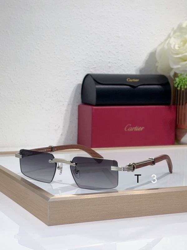 Cartier CT0485O 55 18-145 c06