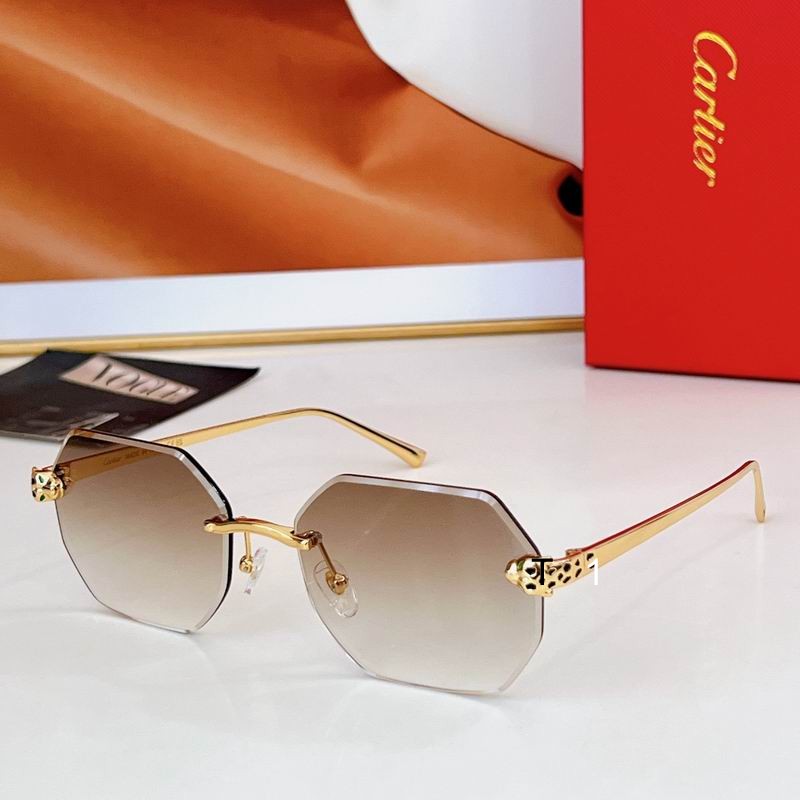 Cartier CT0493S 60 16-140 a01