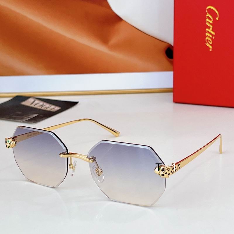 Cartier CT0493S 60 16-140 a02