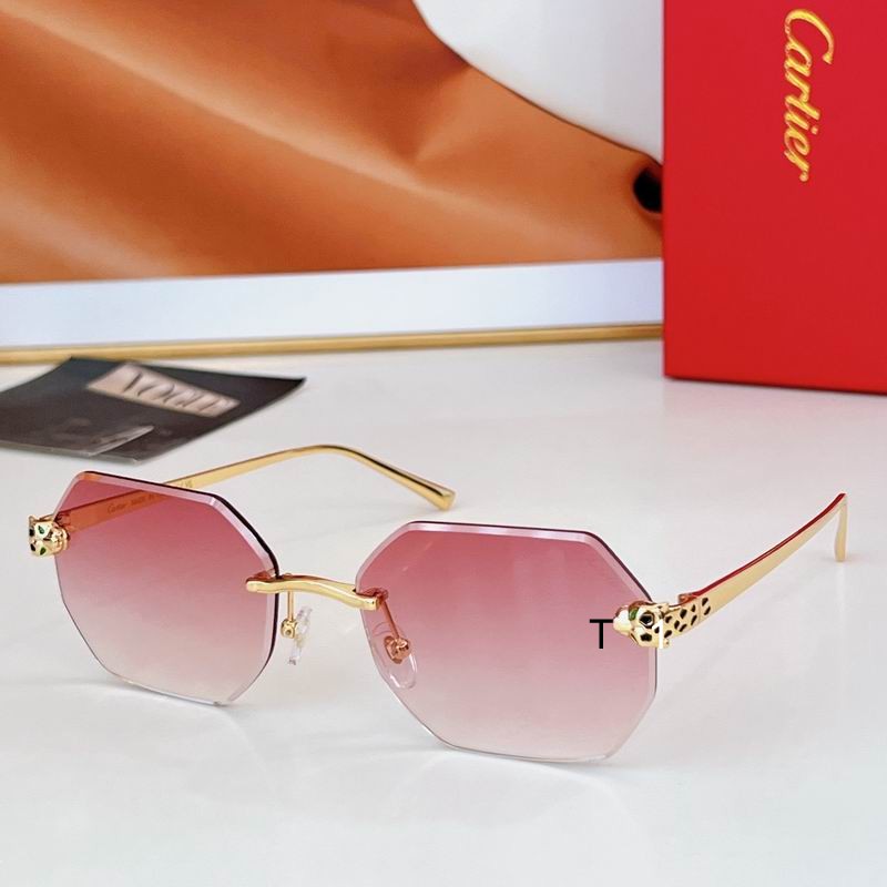 Cartier CT0493S 60 16-140 a06