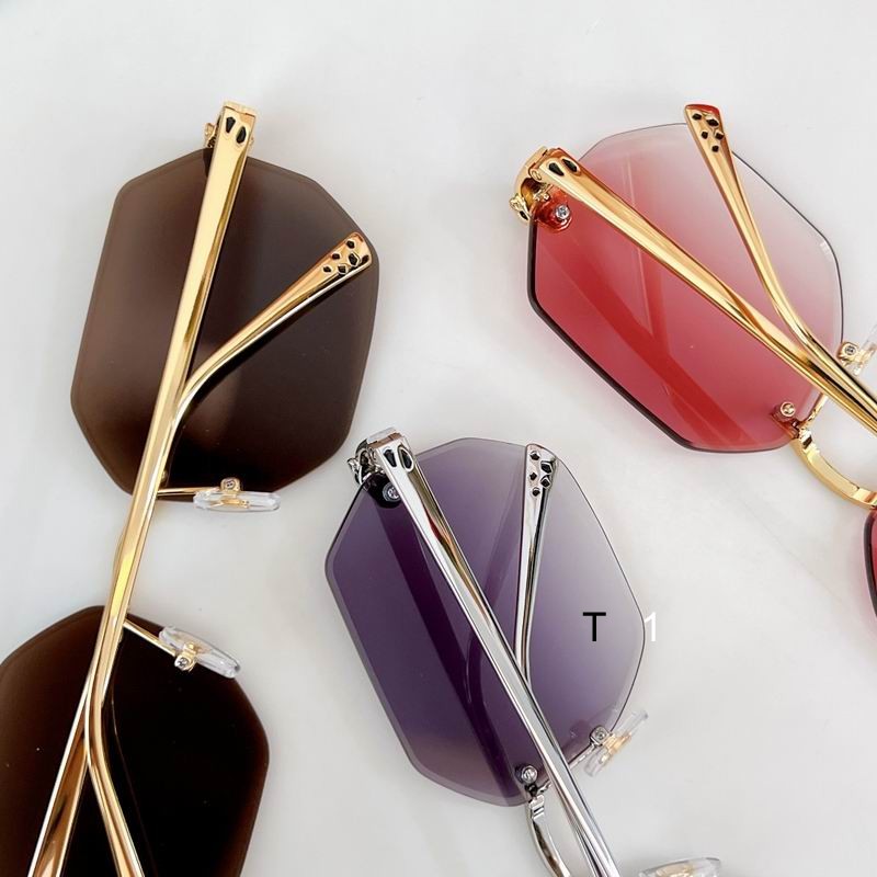 Cartier CT0493S 60 16-140 a08