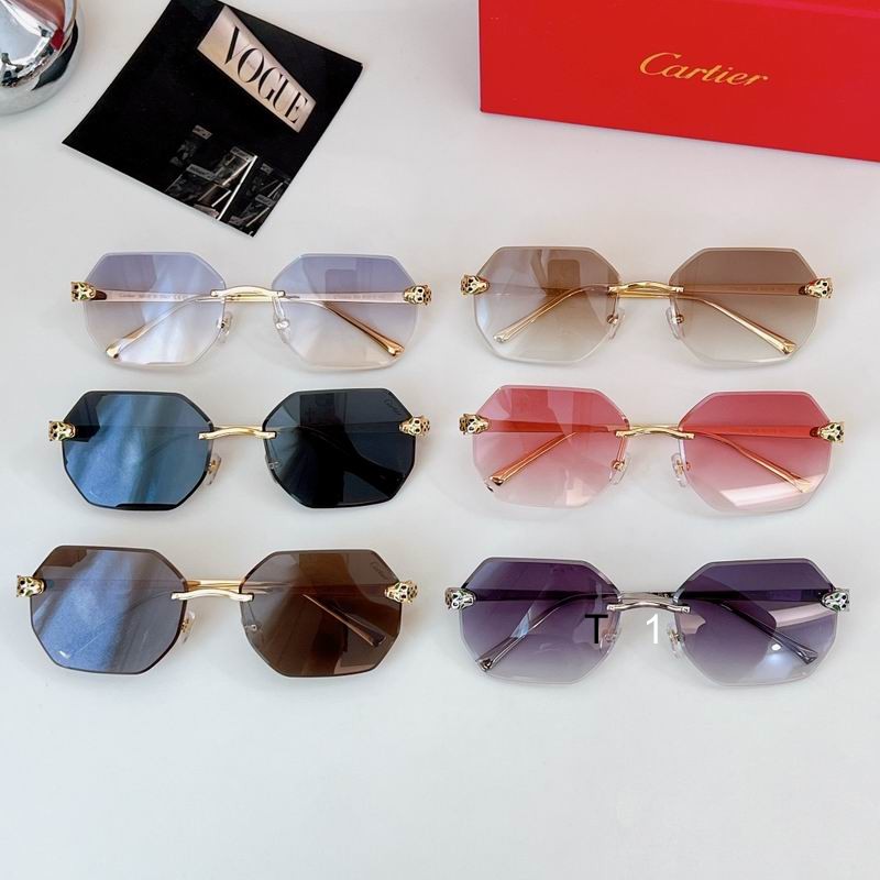 Cartier CT0493S 60 16-140 a09