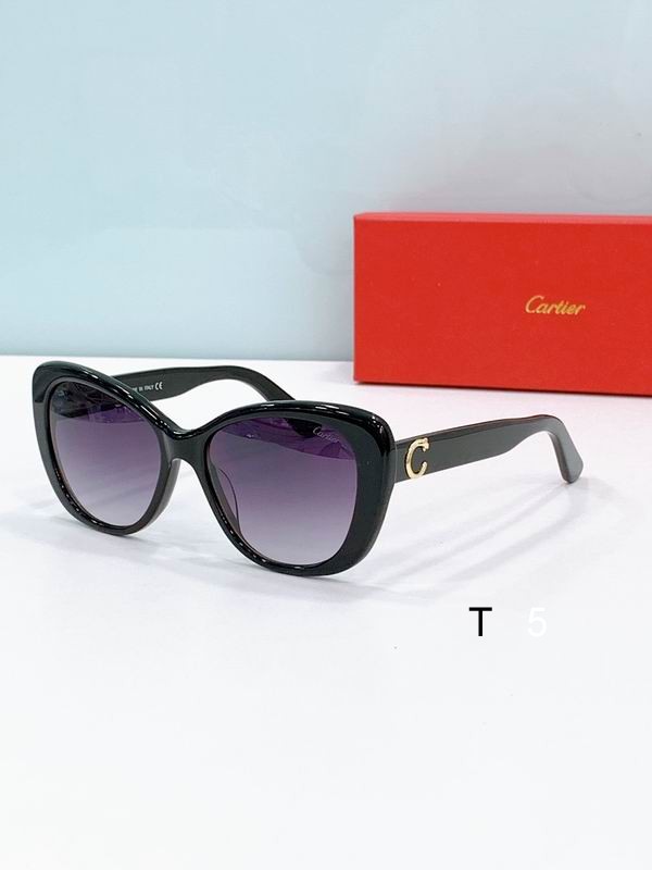 Cartier CT0495 53-19-145 F04