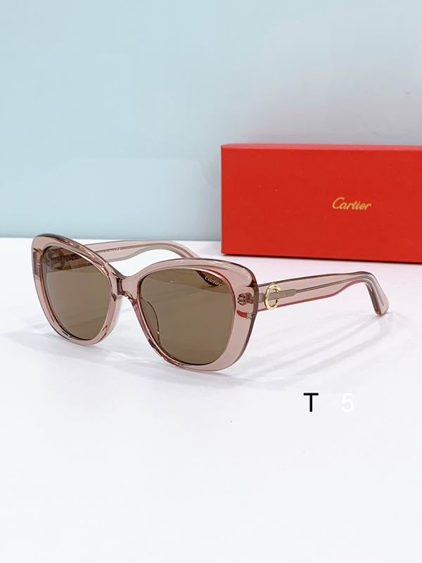 Cartier CT0495 53-19-145 F07