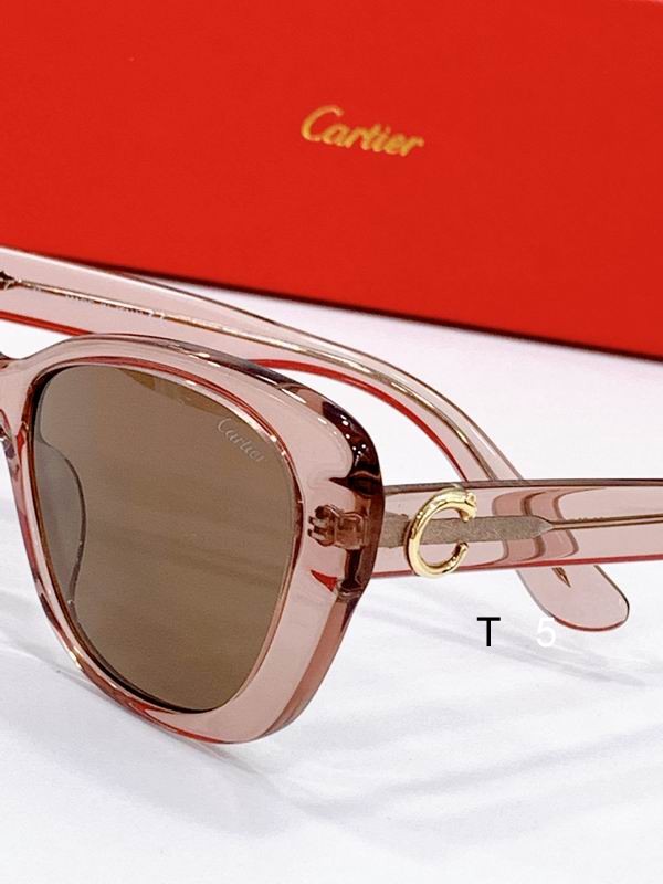 Cartier CT0495 53-19-145 F10