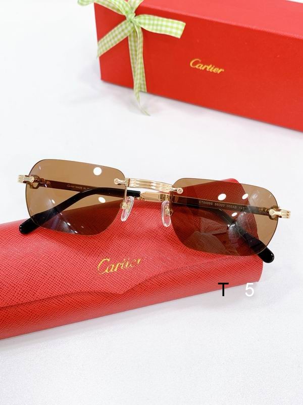 Cartier CT0499S 56-20-145 F02