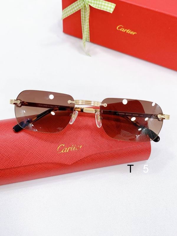 Cartier CT0499S 56-20-145 F03