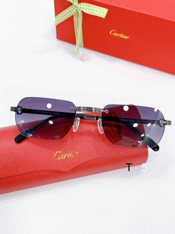 Cartier CT0499S 56-20-145 F04