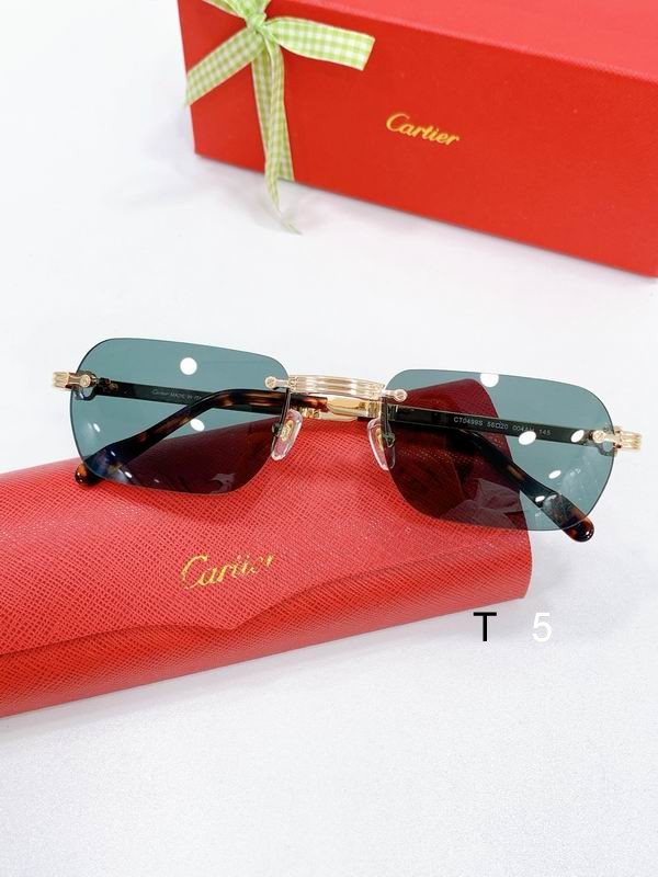 Cartier CT0499S 56-20-145 F05