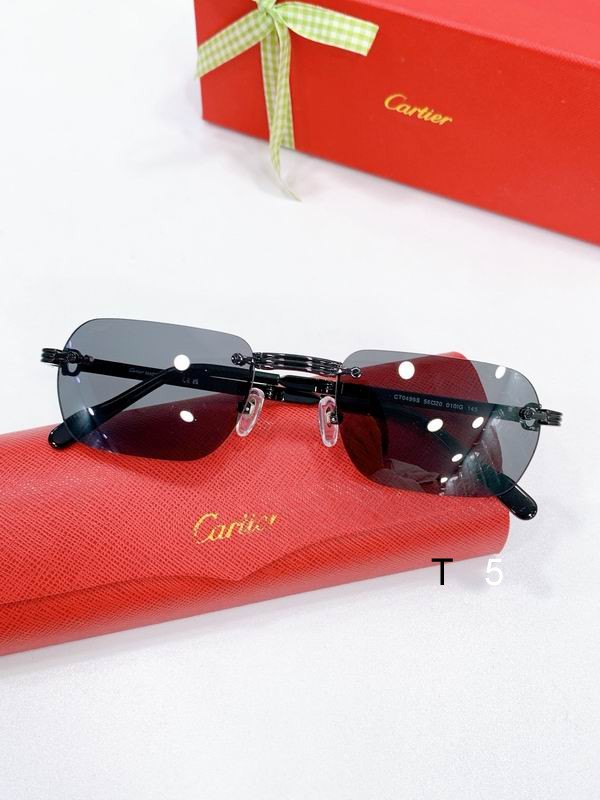 Cartier CT0499S 56-20-145 F06