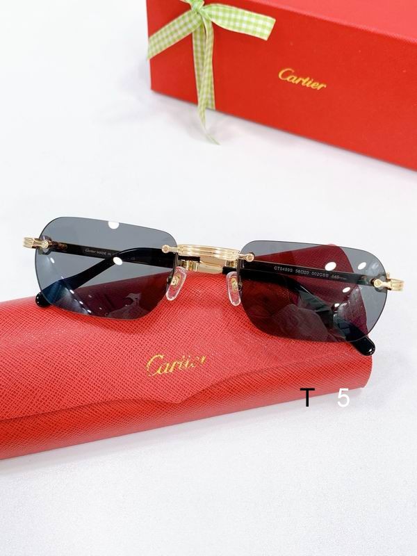 Cartier CT0499S 56-20-145 F07