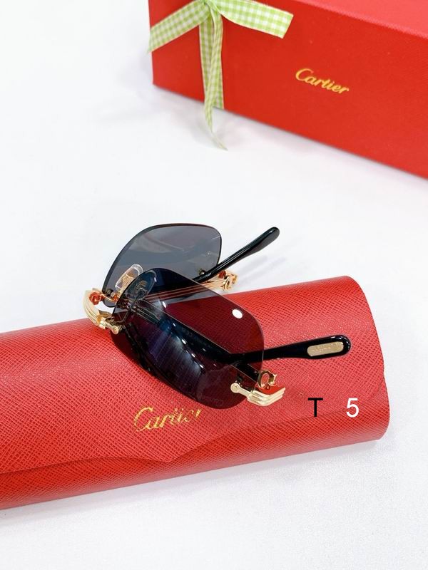 Cartier CT0499S 56-20-145 F09