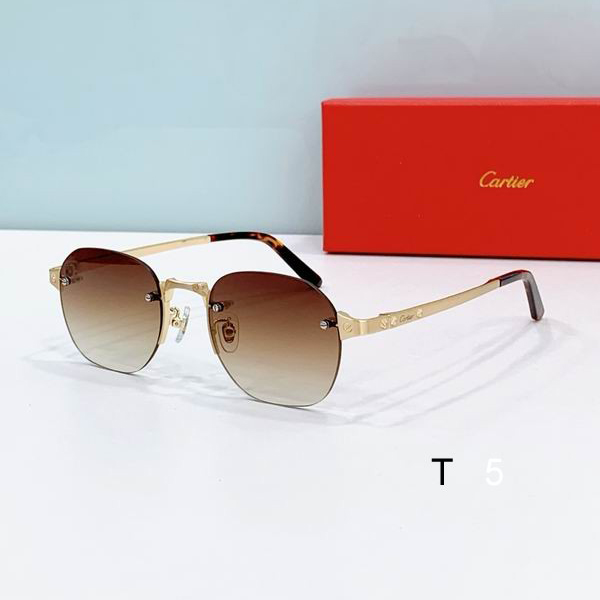 Cartier CT0530S 56 17-145 F02