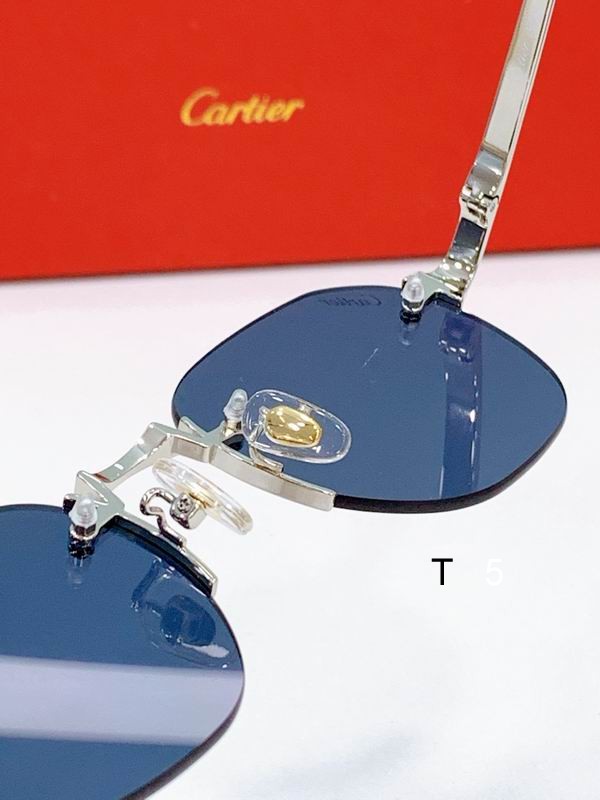 Cartier CT0530S 56 17-145 F08