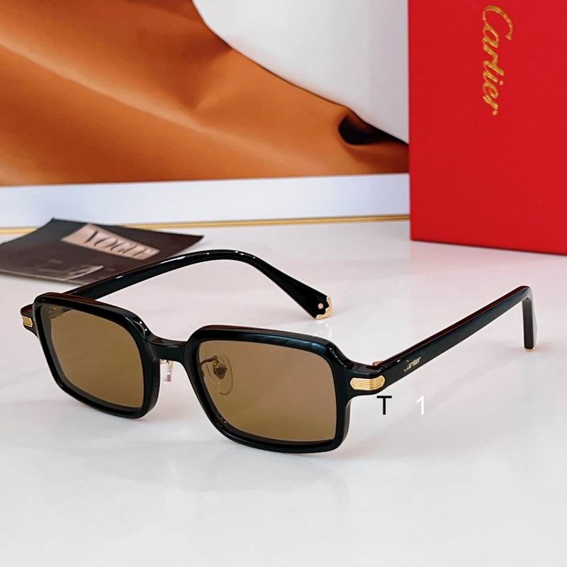 Cartier CT0539S 49 22-145 a04