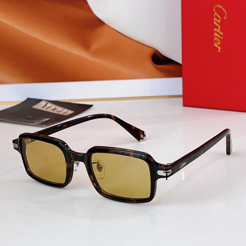 Cartier CT0539S 49 22-145 a05