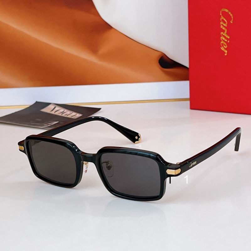 Cartier CT0539S 49 22-145 a08