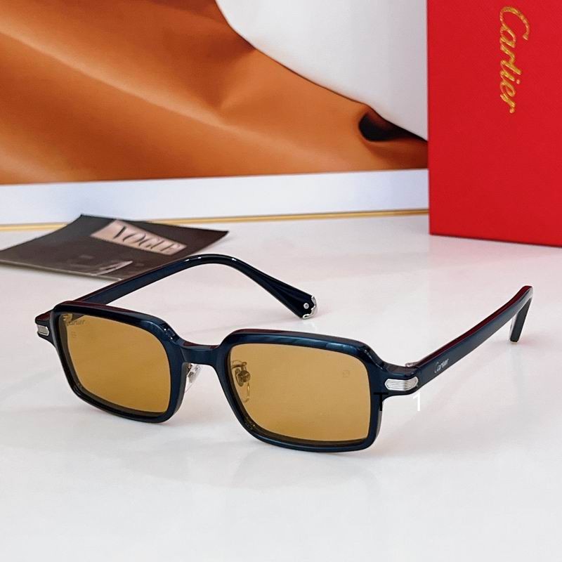 Cartier CT0539S 49 22-145 a09