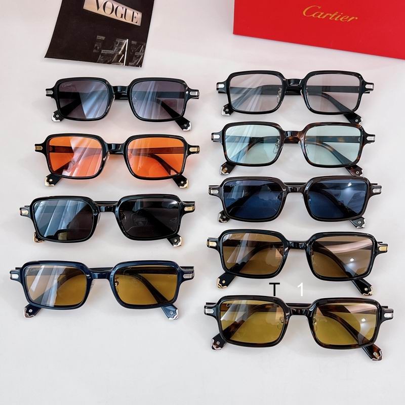 Cartier CT0539S 49 22-145 a10