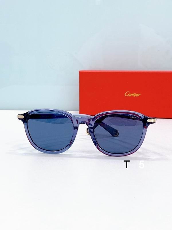 Cartier CT0541 53 21-145 F08