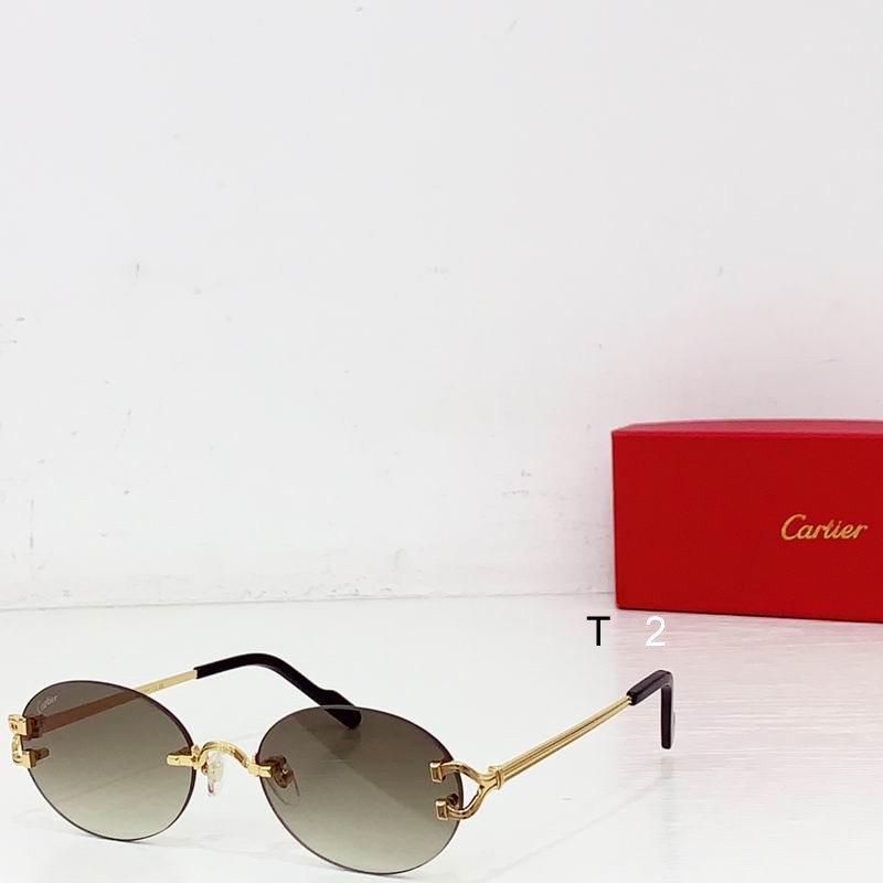 Cartier CT0551S 57 19-142 b06
