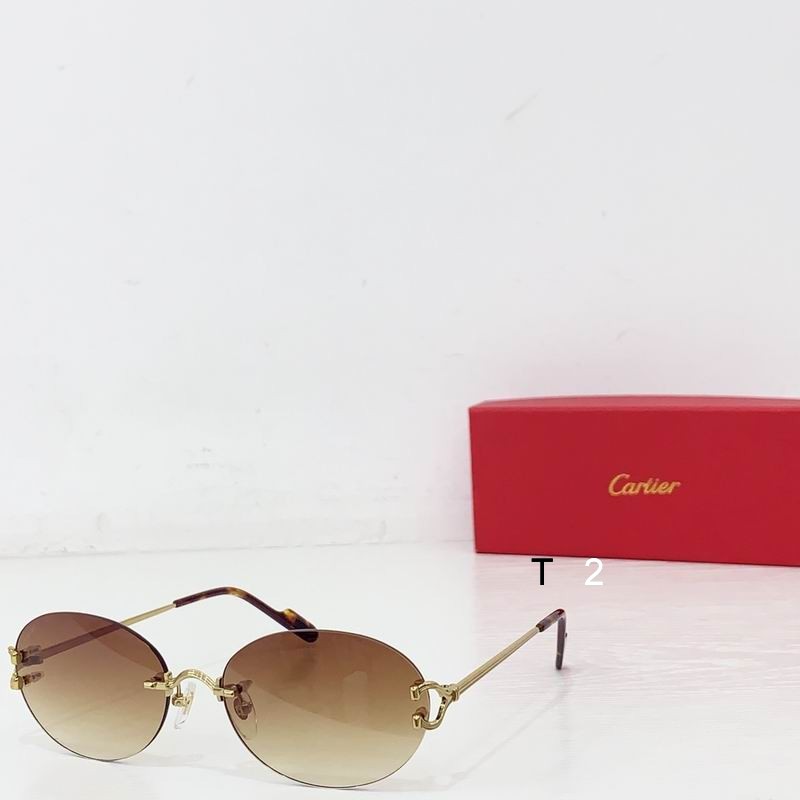 Cartier CT0551S 55 18 b01
