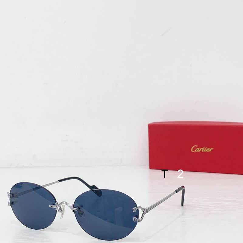 Cartier CT0551S 55 18 b06