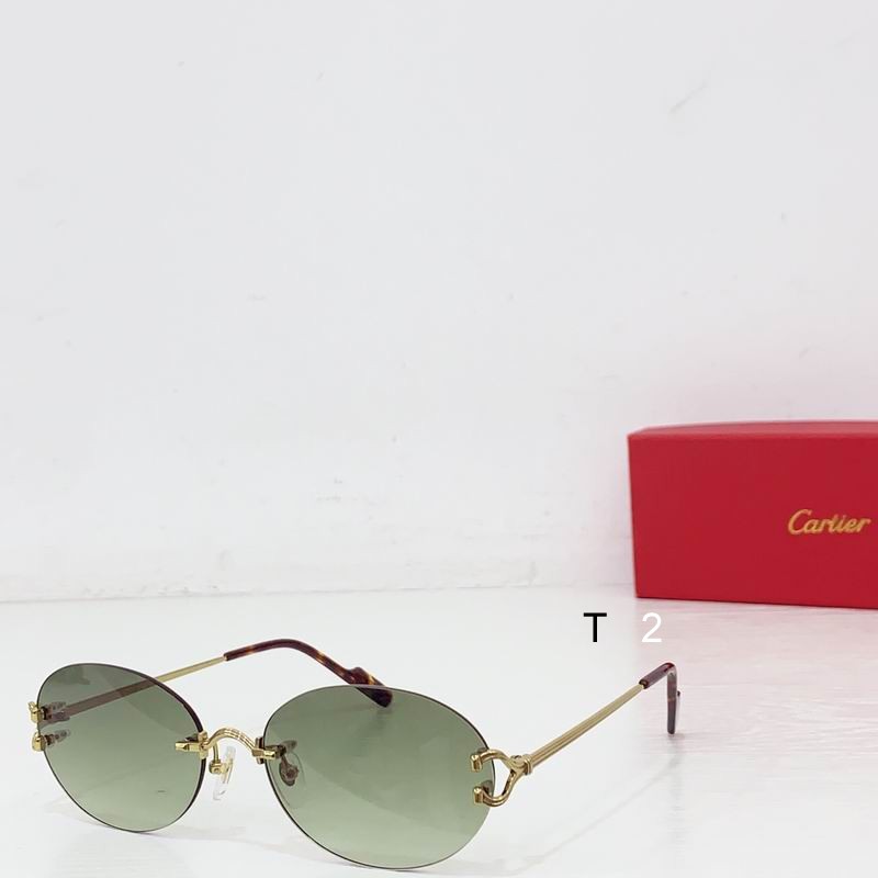 Cartier CT0551S 55 18 b09