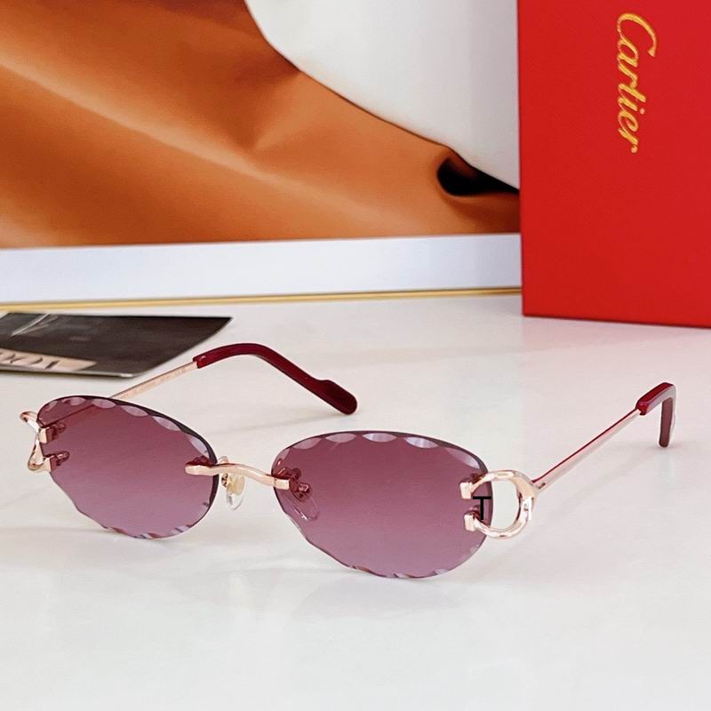 Cartier CT0599S 55 17-142 a05